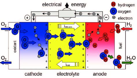 The general structure of the solid oxide fuel cell (SOFC). | Download Scientific Diagram