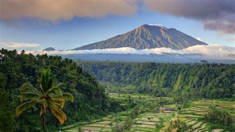 Wallpaper Bali, palms, trees, field, mountain, clouds, 5k, Nature #16295