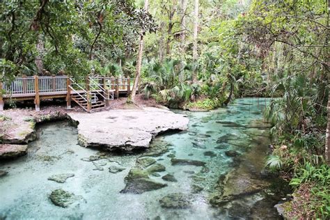 Rock Springs At Kelly Park: Beautiful Spring And Park – The Florida ...