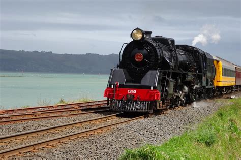 Attractions – Dunedin Tours