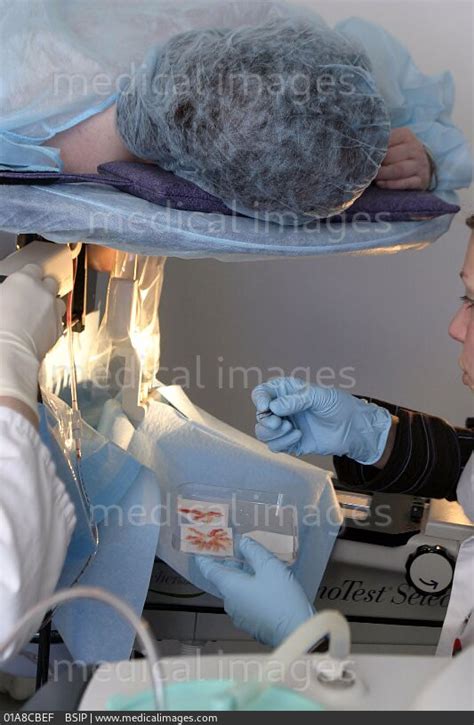 STOCK IMAGE, , 0783905, 01A8CBEF , BSIP - Search Medical & Scientific ...