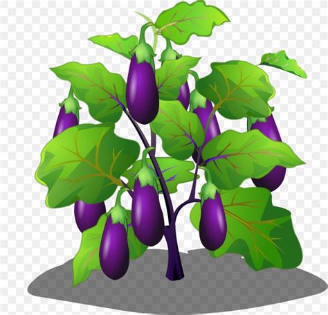 Eggplant Vegetable Cartoon, PNG, 938x902px, Eggplant, Art, Auglis, Branch, Cartoon Download Free