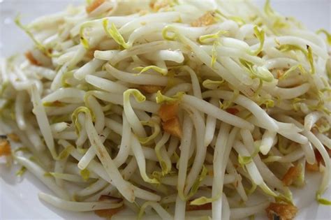 Stir Fried Bean Sprouts with Salted Fish Recipe | Spring Tomorrow