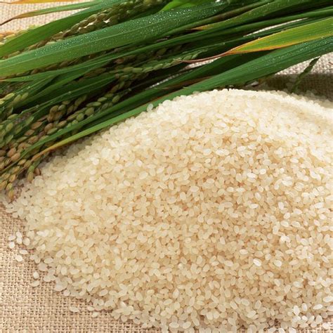 Aromatic Joha Rice at Rs 80/kilogram | जोहा चावल, जोहा राइस - Maishah International Private ...