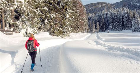 Winter hiking trails in the Region Seefeld