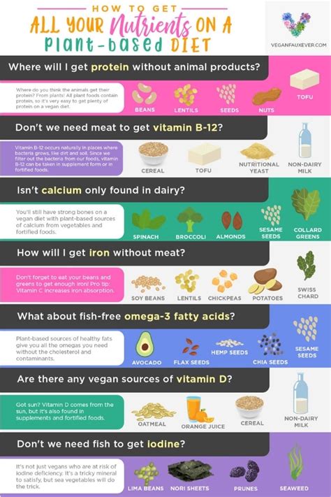 Vegan Nutrition 101: Getting All Your Nutrients on a Vegan Diet - Guide to Vegan