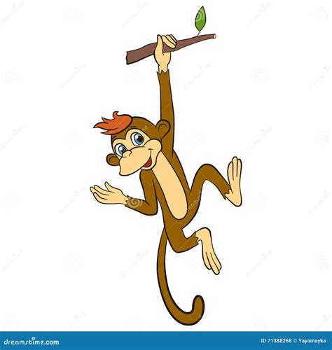 Images Of Monkeys For Kids