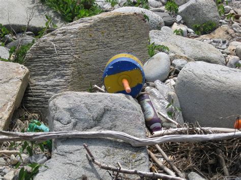 NH Marine Debris: Marine Debris- It is everywhere...