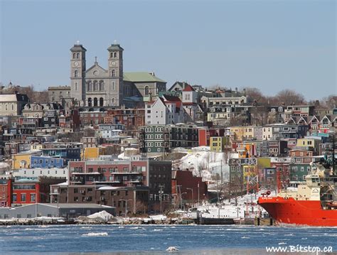 Bitstop: St. John's Harbour