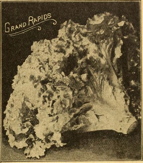 Image from page 13 of "Henderson's midsummer catalogue : 1… | Flickr