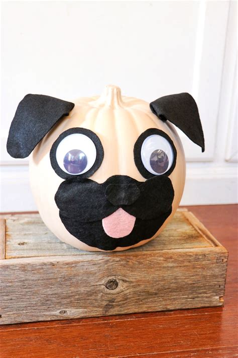 Pugkins (adorable pug pumpkin craft) - Fab Everyday