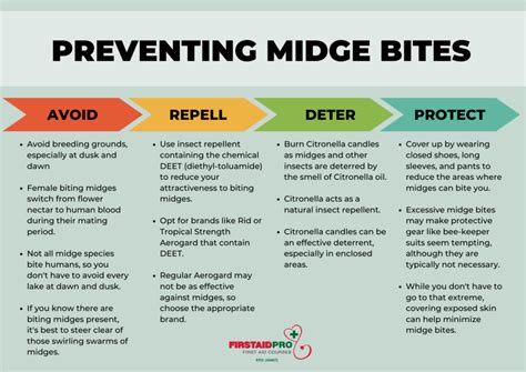 Biting Midges Bites Pictures