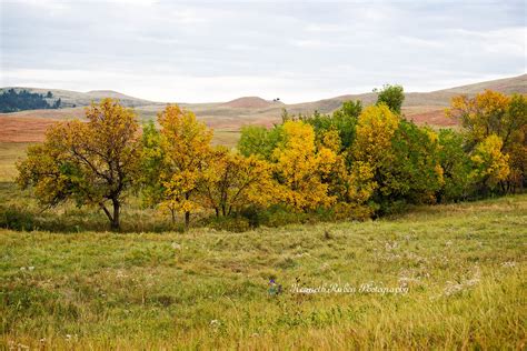 Custer State Park, South Dakota on Behance