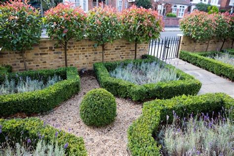 24 best images about Garden Hedges on Pinterest | Gardens, Hedges and Better homes and gardens