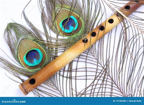 Peacock Feather with Indian Flute Stock Photo - Image of folk, bird ...