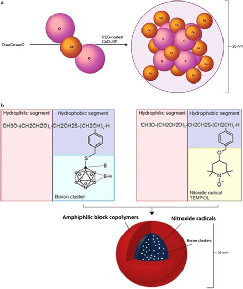 Structure of a cerium oxide nanoparticle (CNP) and b boron... | Download Scientific Diagram