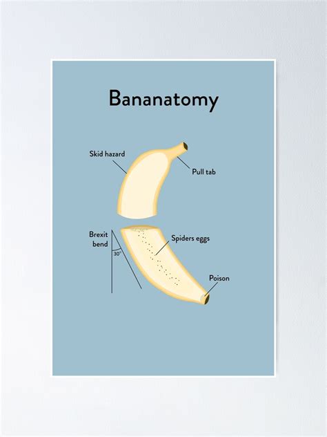 "Banana Anatomy" Poster for Sale by Wildyles | Redbubble