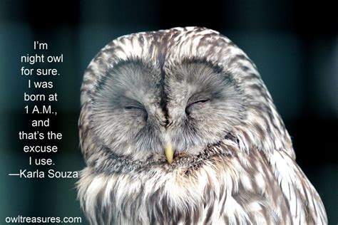 Owl Quotes and Sayings | Owl Treasures