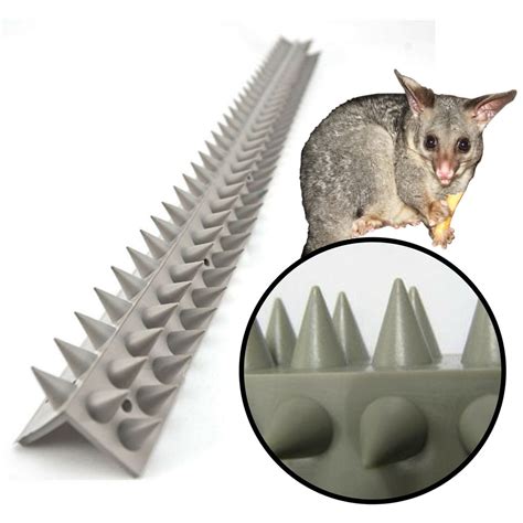 Anti Bird Spikes - Fence & Wall Spikes - L Section | BUY ONLINE