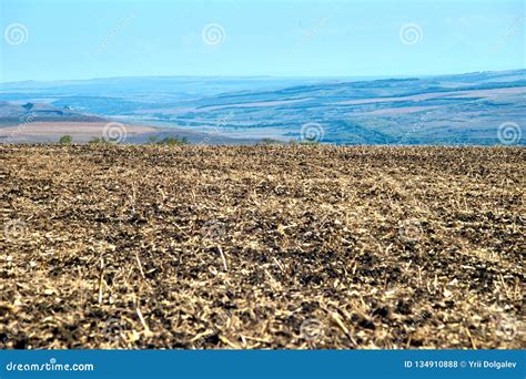 Arable land stock photo. Image of country, plow, horizon - 134910888