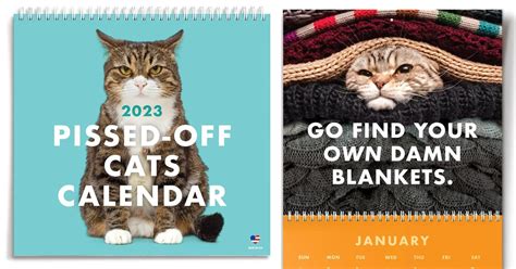 Funny 2023 Cat Calendar Shows 'Pissed Off' Felines All Year Long