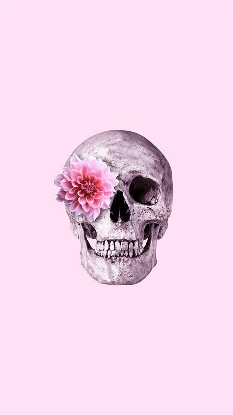 Top 70+ skull aesthetic wallpaper best - in.cdgdbentre