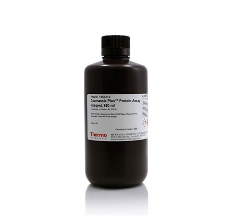 Thermo Scientific™ Pierce™ Bradford Plus Protein Assay Reagent | Fisher ...