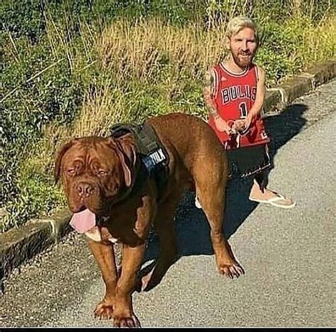 pessi whit his dog 💀 en 2023 | Messi gracioso, Memes de fútbol, Fotos para reírse