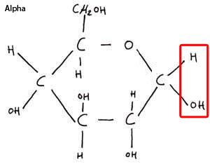 Biological Compounds | A-Level Biology Revision Notes