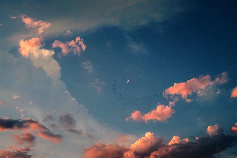 Flying Birds by Mister M on Unsplash [5760x3840] : wallpaper