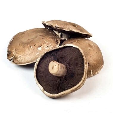 Fresh Portobello Mushrooms 3 lb - Mushroom | Mayrand