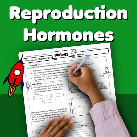 Reproduction Hormones Home Learning Worksheet GCSE - rocketsheets.co.uk