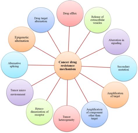 Different mechanisms involved in anticancer drug resistance. Cancer ...