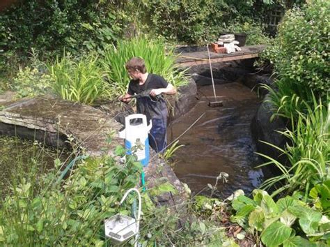 Fish Pond Cleaning Services - Fishcareco