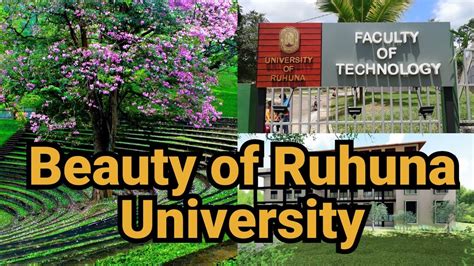 Beauty of University of Ruhuna - Faculty of Technology #university # ...