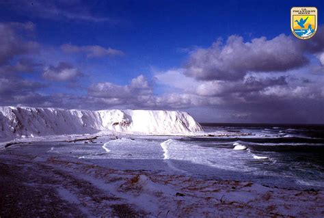 Shemya Island, Alaska | (Photo: DD Gibson/USFWS) | Flickr