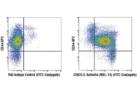 Mouse Naive/Effector/Memory T Cell Markers Flow Cytometry Panel | Cell ...