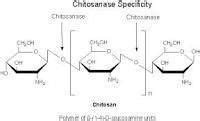 Chitosan - Deacetylchitin Suppliers, Traders & Manufacturers