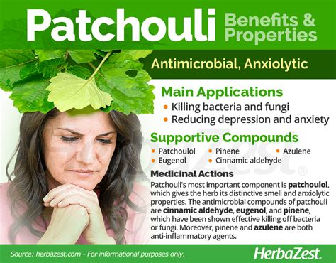 Patchouli | HerbaZest