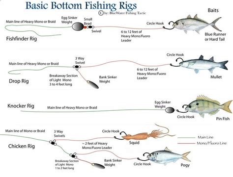 fishing rig diagrams | First - There are two basic kinds of bottom rigs rigs that have ...