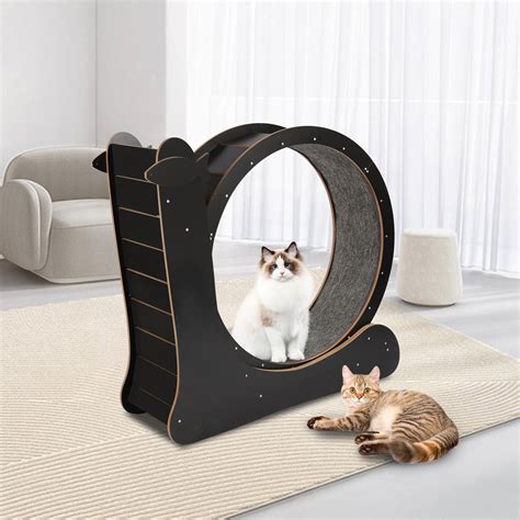 Loyalheartdy Round Hamster-Wheel Style Cat Exercise Wheel, Large Cat Treadmill w/Carpeted Runway ...