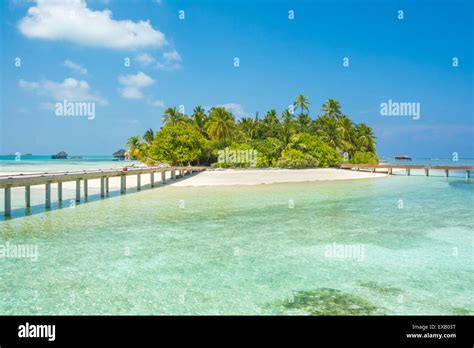 Tropical island in Maldives Stock Photo - Alamy