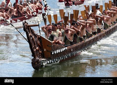 Ngaruawahia, New Zealand - November 8, 2015 - Five waka, maori canoes on the Waikato River ...