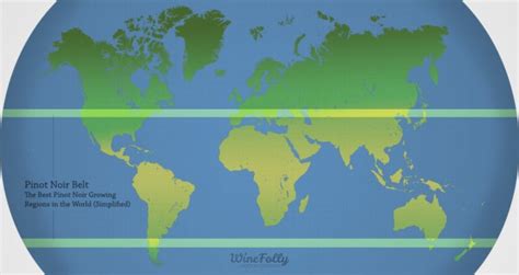 The Best Pinot Noir Regions in the World | Wine Folly