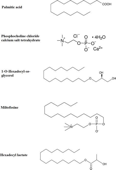 Palmitic Acid Structure