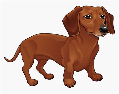 Transparent Dachshund Dog Clipart - Dachshund Png, Png Download - kindpng