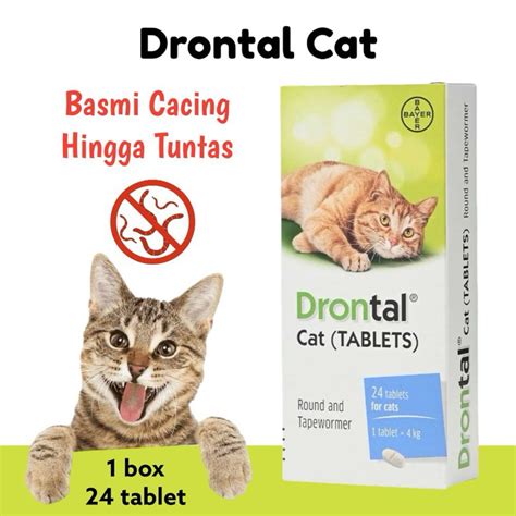 Drontal CAT 1pc CAT Deworming Medicine DRONTAL CAT Deworming Medicine ...