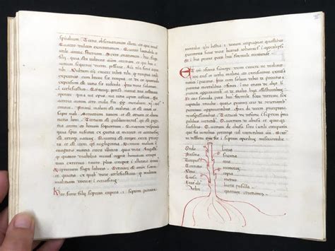 Kenneth Spencer Research Library Blog » medieval manuscripts