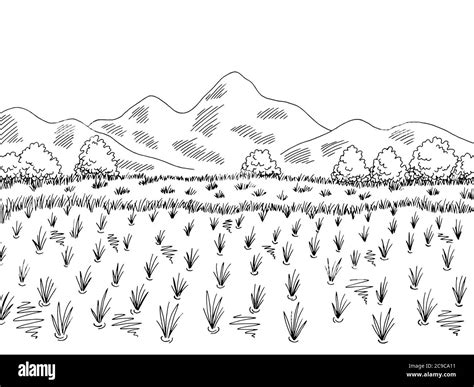 Paddy Field Clipart Black