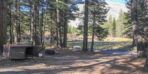 Tuolumne Meadows Campground - Yosemite National Park - camping in California